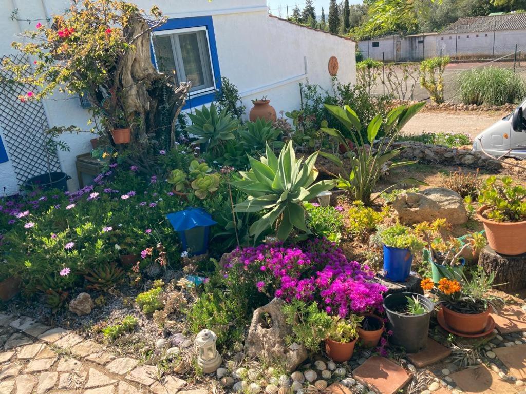 Casa Joy Vila Guia  Exterior foto
